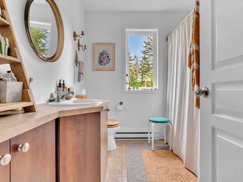 Salle de bains - 6 Rue Du Bois-Du-Ruisseau, Morin-Heights, QC - Indoor Photo Showing Bathroom