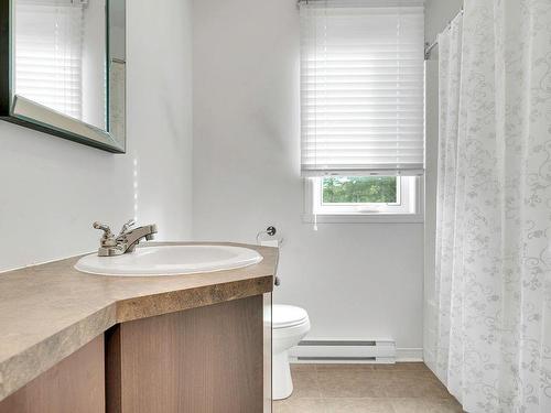 Salle de bains - 6 Rue Du Bois-Du-Ruisseau, Morin-Heights, QC - Indoor Photo Showing Bathroom