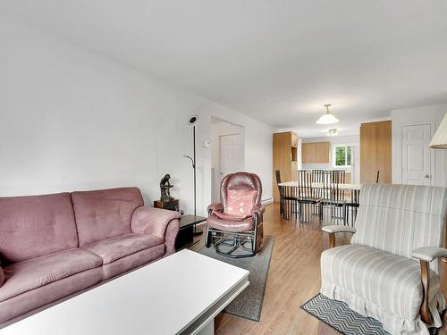 Salon - 6 Rue Du Bois-Du-Ruisseau, Morin-Heights, QC - Indoor Photo Showing Living Room