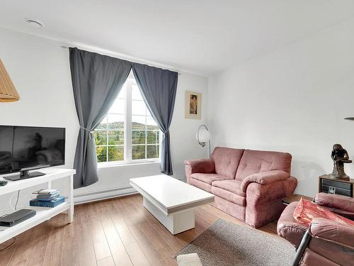 Salon - 6 Rue Du Bois-Du-Ruisseau, Morin-Heights, QC - Indoor Photo Showing Living Room