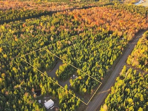 Vue d'ensemble - 39 Ch. Des Bouleaux, La Patrie, QC 