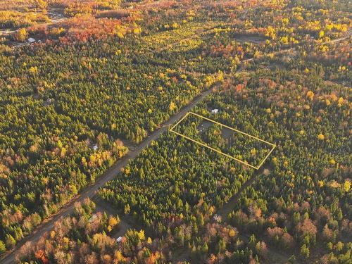 Vue d'ensemble - 39 Ch. Des Bouleaux, La Patrie, QC 