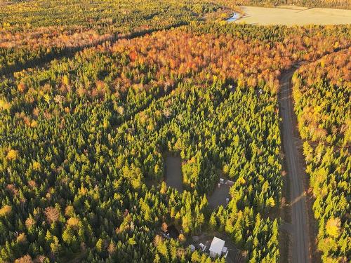 Vue d'ensemble - 39 Ch. Des Bouleaux, La Patrie, QC 