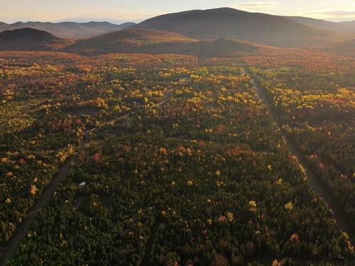 Vue d'ensemble - 39 Ch. Des Bouleaux, La Patrie, QC 