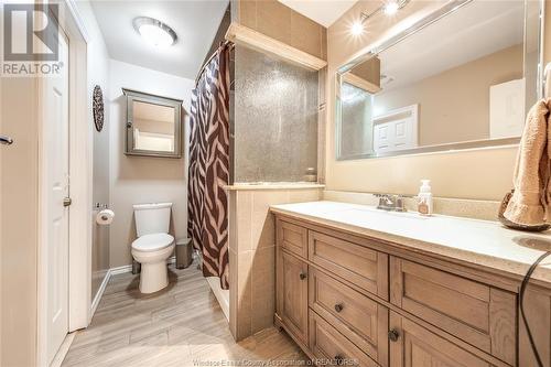 3950 Myrtle Avenue, Windsor, ON - Indoor Photo Showing Bathroom