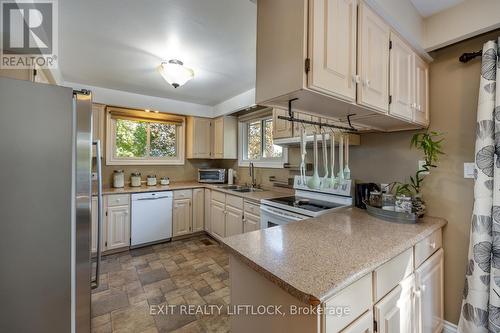 2776 Pigeon Lake Road, Kawartha Lakes, ON - Indoor Photo Showing Kitchen With Double Sink