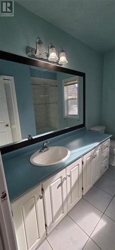 883 Ville Marie Drive, Marystown, NL - Indoor Photo Showing Bathroom