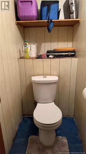 118 Caswell Street, Grand Falls, NB - Indoor Photo Showing Bathroom