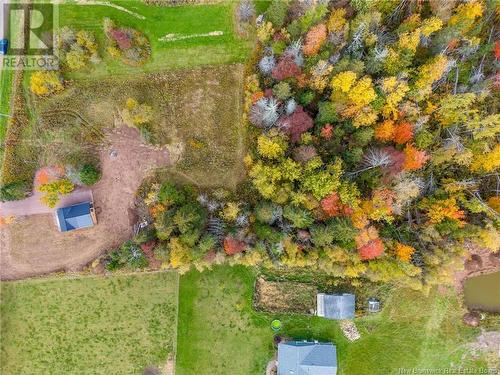 396 Collins Lake Road, Shemogue, NB - Outdoor