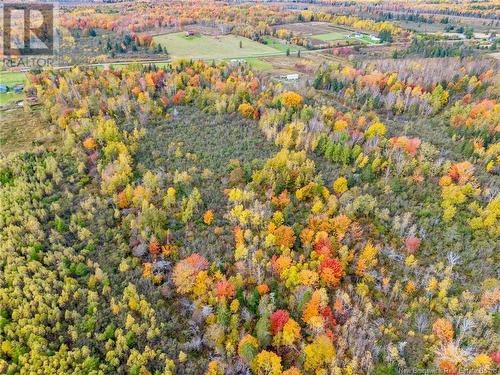 396 Collins Lake Road, Shemogue, NB - Outdoor With View