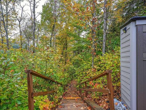 Escalier - 159 Ch. Du Rivage, Piedmont, QC - Outdoor