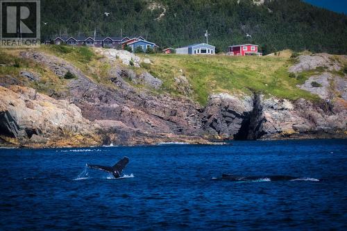 1-11 Goldsworthy'S Road, Pouch Cove, NL 