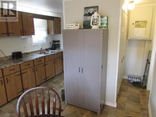 23 Eltero Park, Bishop'S Falls, NL - Indoor Photo Showing Kitchen With Double Sink