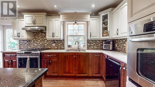 333 Canada Drive, St. John'S, NL - Indoor Photo Showing Kitchen With Double Sink