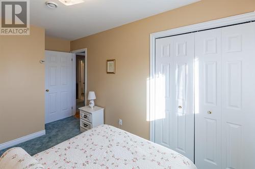 2 Carrigan Place, Conception Bay South, NL - Indoor Photo Showing Bedroom