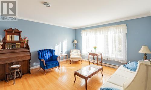 2 Carrigan Place, Conception Bay South, NL - Indoor Photo Showing Living Room