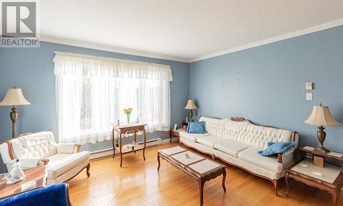 2 Carrigan Place, Conception Bay South, NL - Indoor Photo Showing Living Room