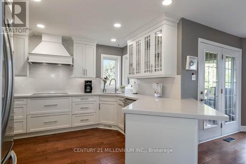 20334 Main Street, Caledon, ON - Indoor Photo Showing Kitchen With Upgraded Kitchen