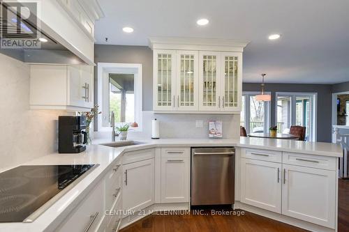 20334 Main Street, Caledon, ON - Indoor Photo Showing Kitchen With Upgraded Kitchen