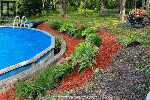 20334 Main Street, Caledon, ON - Outdoor With Above Ground Pool