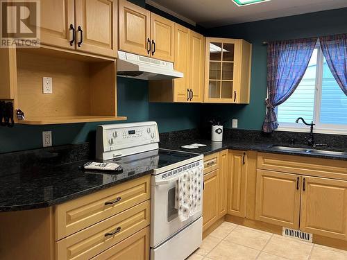 336 100B Avenue, Dawson Creek, BC - Indoor Photo Showing Kitchen With Double Sink