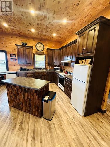 1023871 Martin Lake Road, Bay D'Espoir (Exploits District), NL - Indoor Photo Showing Kitchen