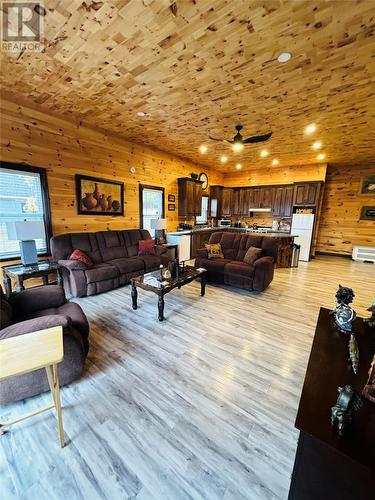 1023871 Martin Lake Road, Bay D'Espoir (Exploits District), NL - Indoor Photo Showing Living Room