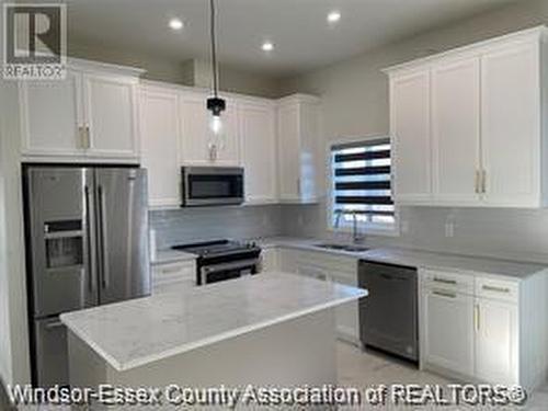 382 Hemlock Lane, Lakeshore, ON - Indoor Photo Showing Kitchen With Stainless Steel Kitchen With Upgraded Kitchen