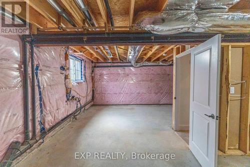 9.5 South Court Street W, Norwich (Norwich Town), ON - Indoor Photo Showing Basement