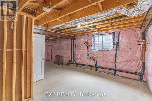 9.5 South Court Street W, Norwich (Norwich Town), ON - Indoor Photo Showing Basement