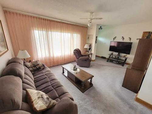 152 2Nd Street Se, Minnedosa, MB - Indoor Photo Showing Living Room