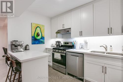 E - 43 Cecil Street, Toronto, ON - Indoor Photo Showing Kitchen With Double Sink