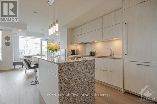 905 - 101 Queen Street, Ottawa, ON - Indoor Photo Showing Kitchen With Upgraded Kitchen