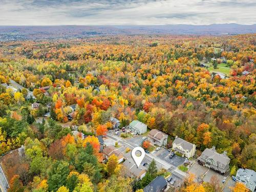 Overall view - 139  - 139A Ch. Bernier, Sutton, QC - Outdoor With View