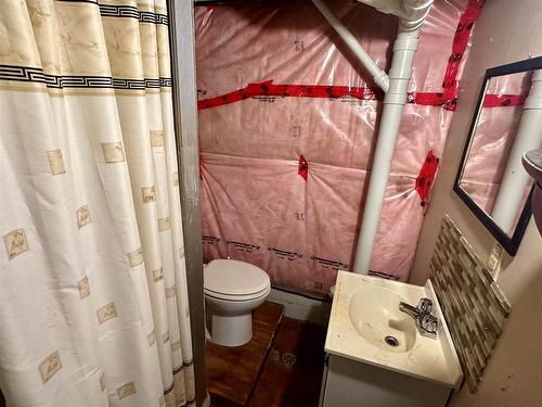 209 Regina Avenue, Thunder Bay, ON - Indoor Photo Showing Bathroom