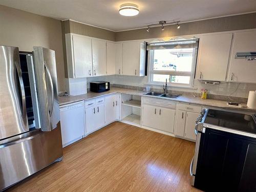 209 Regina Avenue, Thunder Bay, ON - Indoor Photo Showing Kitchen With Double Sink