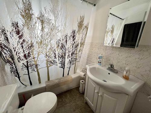 825 Mcintosh Street, Thunder Bay, ON - Indoor Photo Showing Bathroom