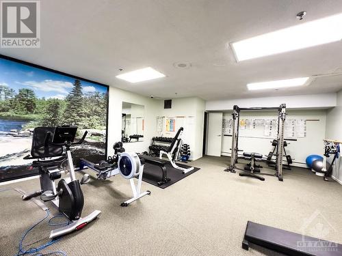 Gym - 415 Greenview Avenue Unit#1609, Ottawa, ON - Indoor Photo Showing Gym Room