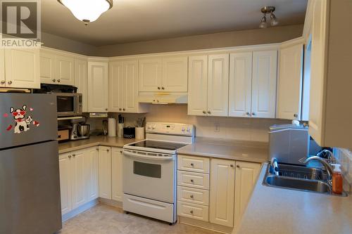 14 Baltimore Street, St. John'S, NL - Indoor Photo Showing Kitchen With Double Sink