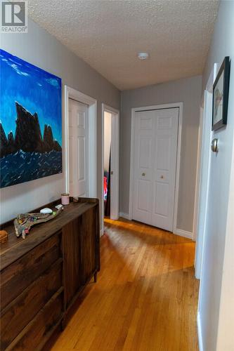 14 Baltimore Street, St. John'S, NL - Indoor Photo Showing Other Room