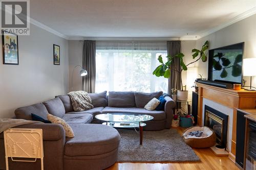 14 Baltimore Street, St. John'S, NL - Indoor Photo Showing Living Room With Fireplace