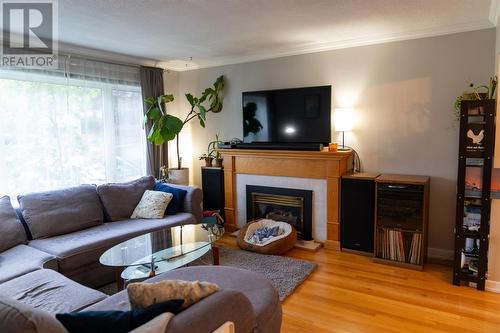 14 Baltimore Street, St. John'S, NL - Indoor Photo Showing Living Room With Fireplace