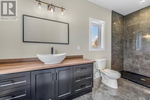 35 Markham Drive, St. Philips, NL - Indoor Photo Showing Bathroom