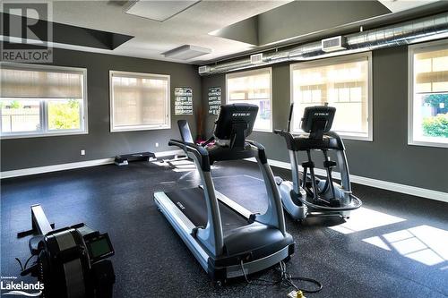 149 Conservation Way, Collingwood, ON - Indoor Photo Showing Gym Room