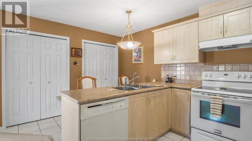 1565 Lovell Crescent, Lasalle, ON - Indoor Photo Showing Kitchen With Double Sink