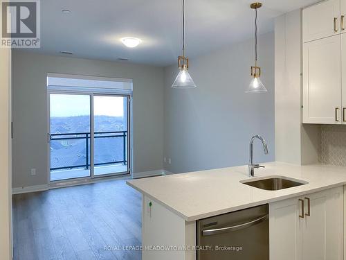 517 - 470 Gordon Krantz Avenue, Milton, ON - Indoor Photo Showing Kitchen