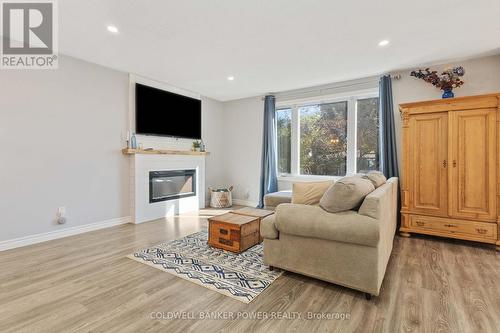 227 Ardsley Crescent, London, ON - Indoor Photo Showing Living Room With Fireplace