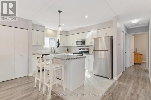 227 Ardsley Crescent, London, ON - Indoor Photo Showing Kitchen With Stainless Steel Kitchen With Upgraded Kitchen