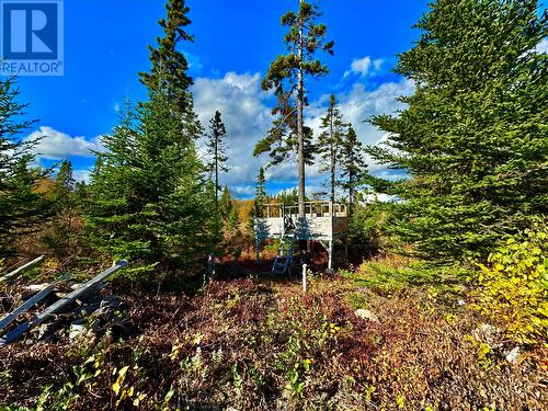 43 Munroe'S Pond, Lewisporte, NL - Outdoor With View