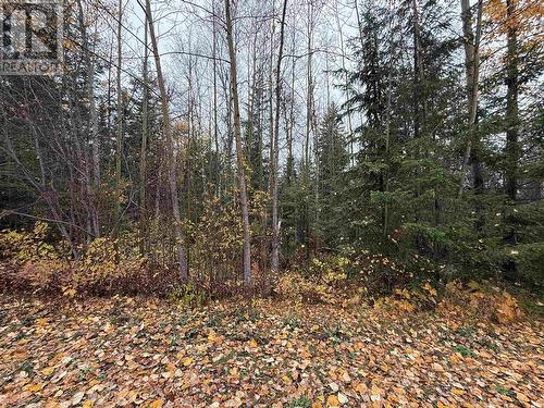 Lot 11 Feldspar Avenue, Quesnel, BC 